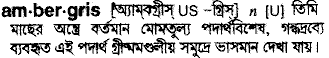 Ambergris in Bangla Academy Dictionary