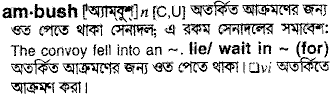 Ambush in Bangla Academy Dictionary
