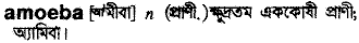 Amoeba in Bangla Academy Dictionary