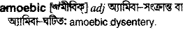 Amoebic in Bangla Academy Dictionary