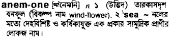 Anemone in Bangla Academy Dictionary