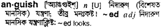 Anguish in Bangla Academy Dictionary