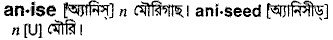Anise in Bangla Academy Dictionary