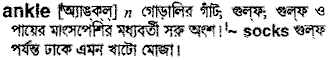 Ankle in Bangla Academy Dictionary