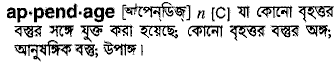 Appendage in Bangla Academy Dictionary