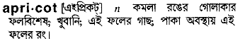 Apricot in Bangla Academy Dictionary