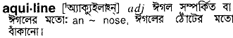 Aquiline in Bangla Academy Dictionary