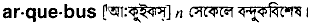 Arquebus in Bangla Academy Dictionary