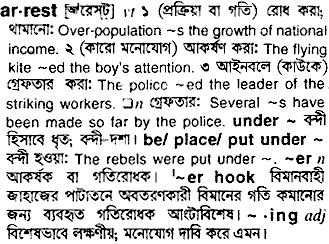 Arrest in Bangla Academy Dictionary