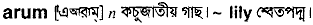 Arum in Bangla Academy Dictionary