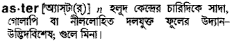 Aster in Bangla Academy Dictionary