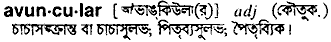 Avuncular in Bangla Academy Dictionary