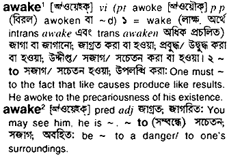 Awake in Bangla Academy Dictionary