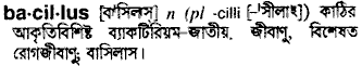 Bacillus in Bangla Academy Dictionary