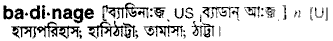 Badinage in Bangla Academy Dictionary