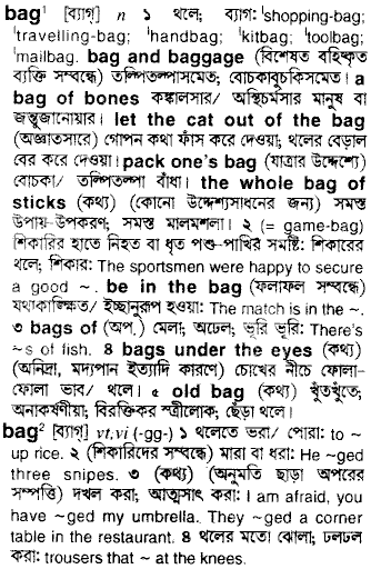 Bag in Bangla Academy Dictionary