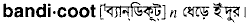 Bandicoot in Bangla Academy Dictionary