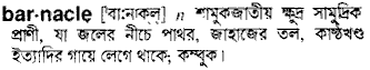 Barnacle in Bangla Academy Dictionary