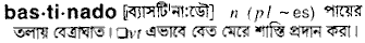 Bastinado in Bangla Academy Dictionary