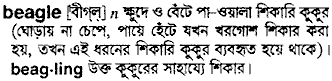 Beagle in Bangla Academy Dictionary
