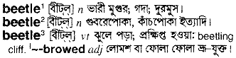 Beetle in Bangla Academy Dictionary