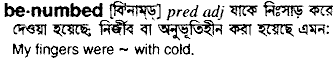Benumbed in Bangla Academy Dictionary