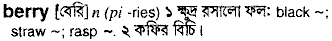Berry in Bangla Academy Dictionary