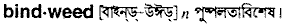Bindweed in Bangla Academy Dictionary