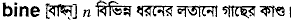 Bine in Bangla Academy Dictionary