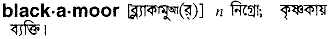 Blackamoor in Bangla Academy Dictionary