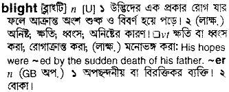 Blight in Bangla Academy Dictionary