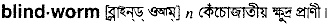 Blindworm in Bangla Academy Dictionary