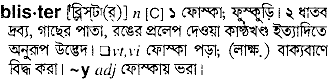 Blister in Bangla Academy Dictionary
