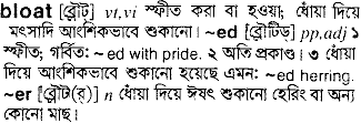 Bloat in Bangla Academy Dictionary
