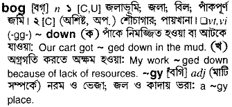 Bog in Bangla Academy Dictionary