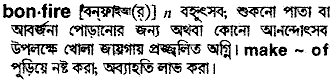 Bonfire in Bangla Academy Dictionary