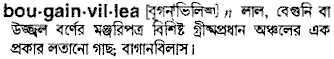 Bougainvillea in Bangla Academy Dictionary