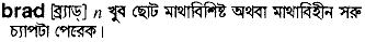 Brad in Bangla Academy Dictionary