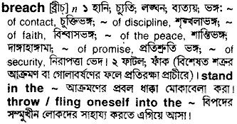 Breach in Bangla Academy Dictionary