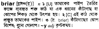 Briar in Bangla Academy Dictionary