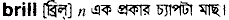 Brill in Bangla Academy Dictionary