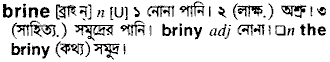 Brine in Bangla Academy Dictionary