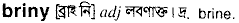 Briny in Bangla Academy Dictionary