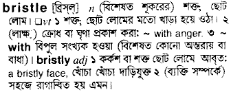 Bristle in Bangla Academy Dictionary