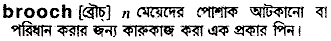 Brooch in Bangla Academy Dictionary