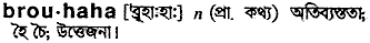 Brouhaha in Bangla Academy Dictionary