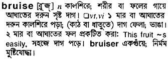 Bruise in Bangla Academy Dictionary