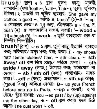 Brush in Bangla Academy Dictionary