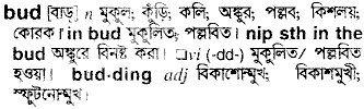 Bud in Bangla Academy Dictionary