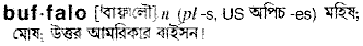 Buffalo in Bangla Academy Dictionary